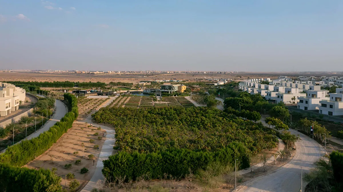 ALBUROUJ by DP Productions - photo 12