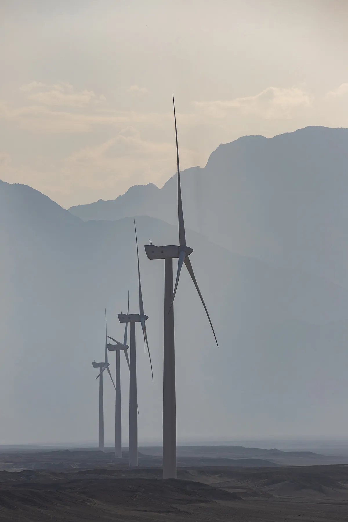 Wind Farm by DP Productions - photo 04
