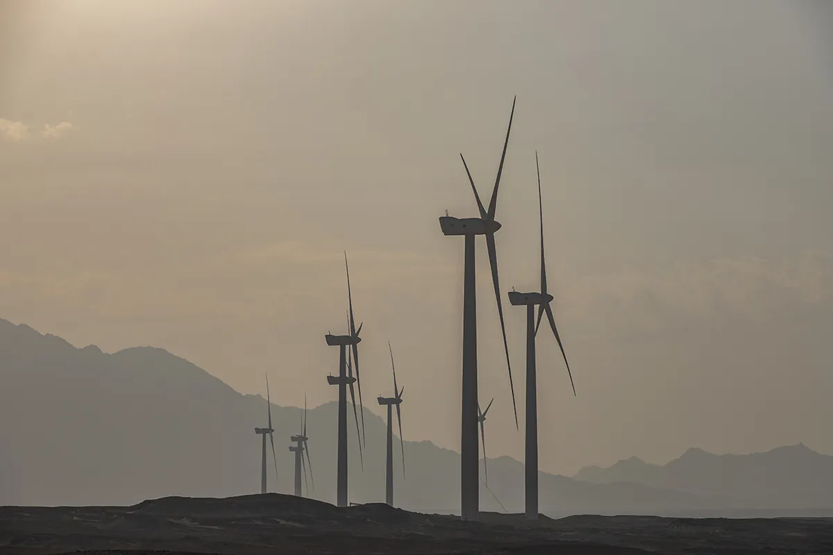 Wind Farm by DP Productions - photo 05