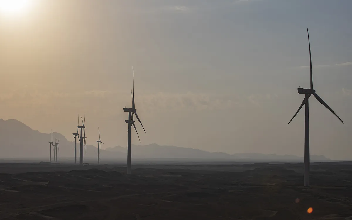 Wind Farm by DP Productions - photo 06