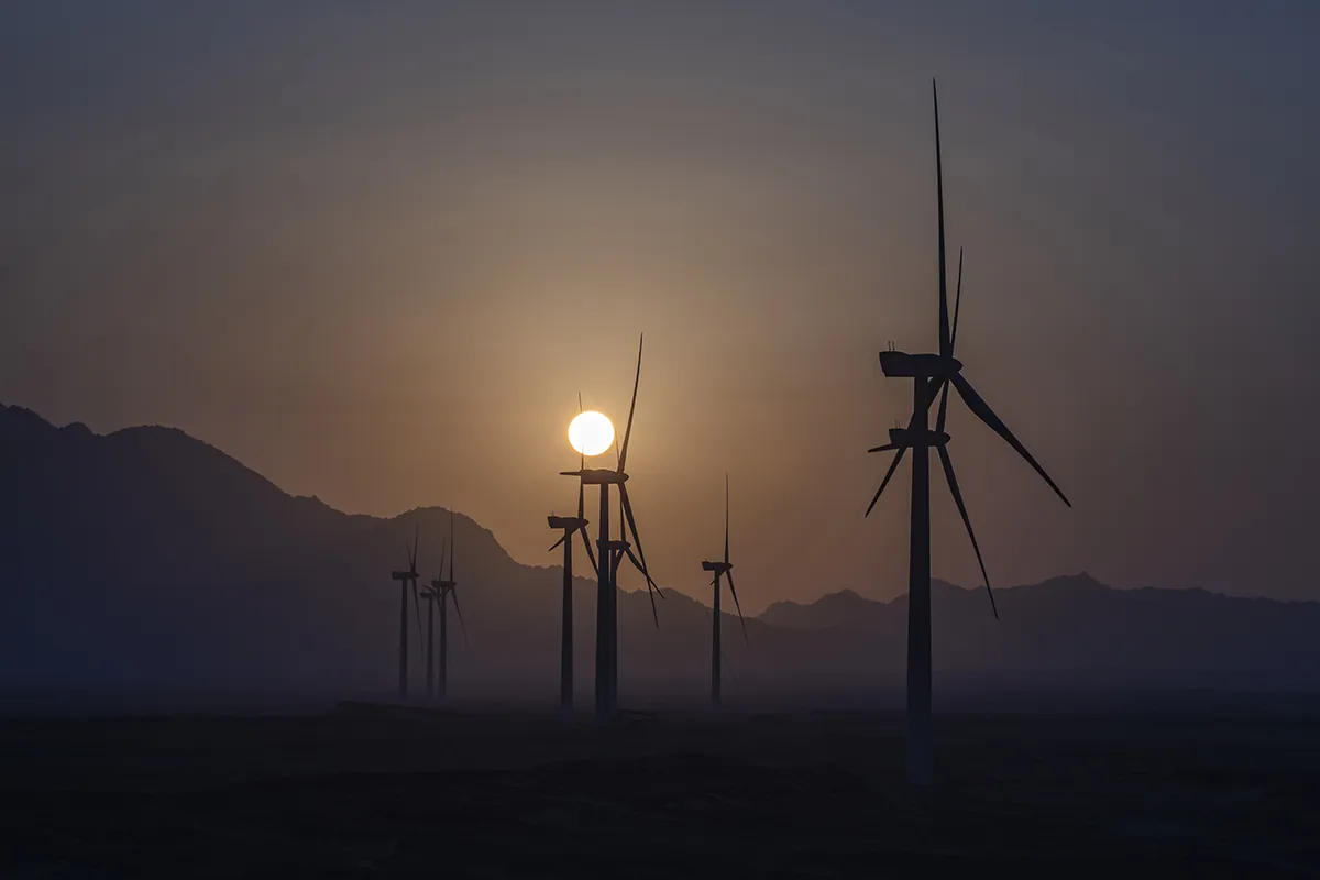 Wind Farm by DP Productions - photo 08