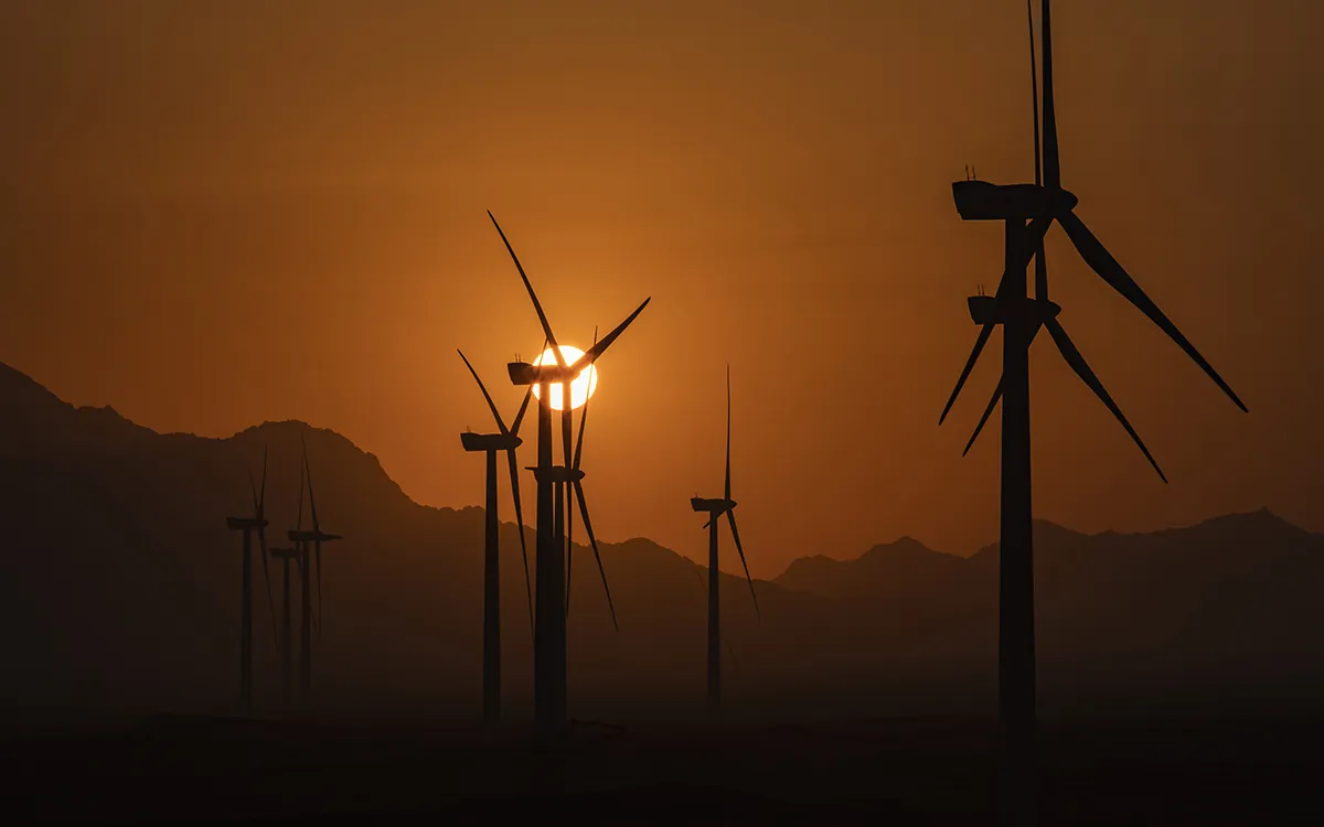 Wind Farm by DP Productions - photo 09